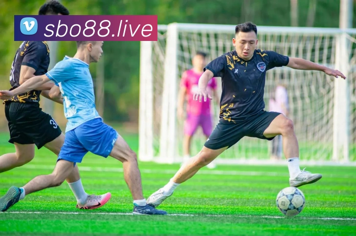 sunbet申博全站App